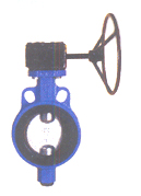 Butterfly Valves