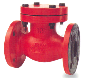 Non Return Valve